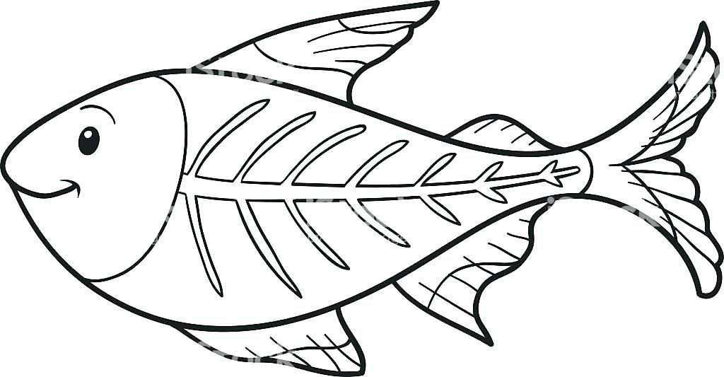1024x533 X Ray Fish Coloring Page Manta Ray Coloring Pages Page Stingray