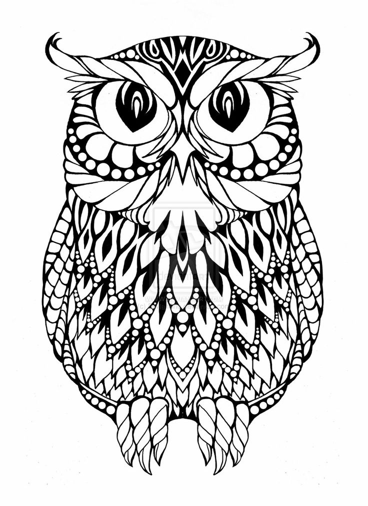 736x1013 Owl Coloring Pages Coloring Pages Pictures Imaginations