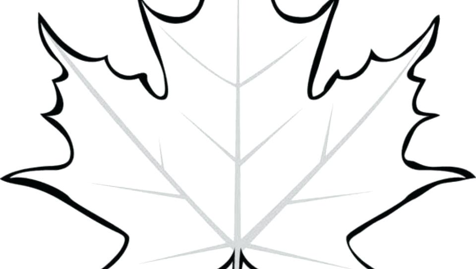 960x544 Leaf Coloring Pages Autumn Maple Leaves Coloring Page Free