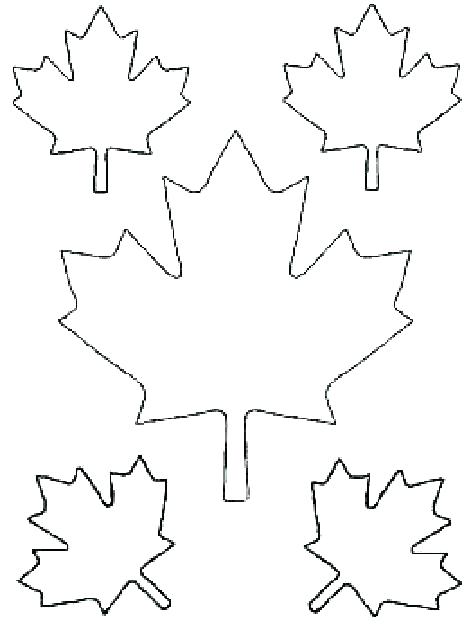 471x630 Maple Tree Coloring Page Various Type Of Maple Leaf Coloring Page