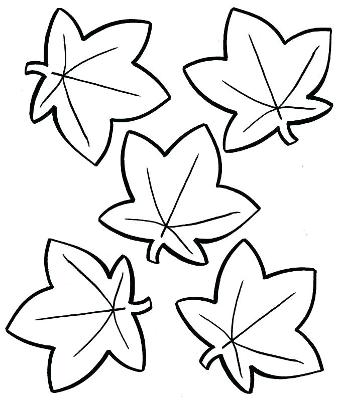 677x800 Toronto Maple Leaf Coloring Pages Printable Fall Page Leaves