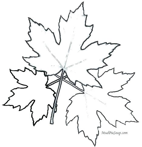 468x486 Leaf Coloring Maple Leaf Coloring Page Printable Leaves Coloring