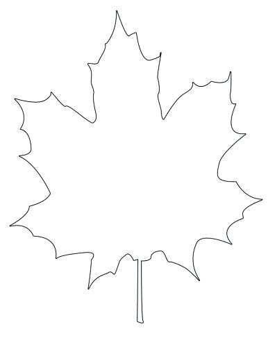 386x500 Outline Of A Maple Leaf
