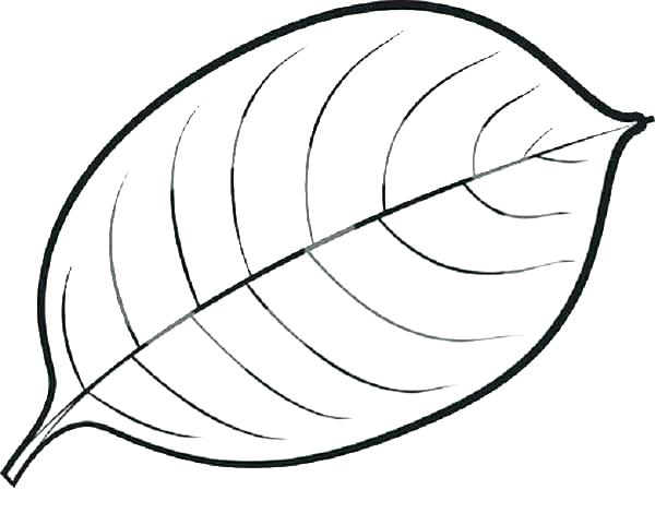 600x470 Coloring Pages Of Leaves Leaves Coloring Pages Leaf Coloring Pages