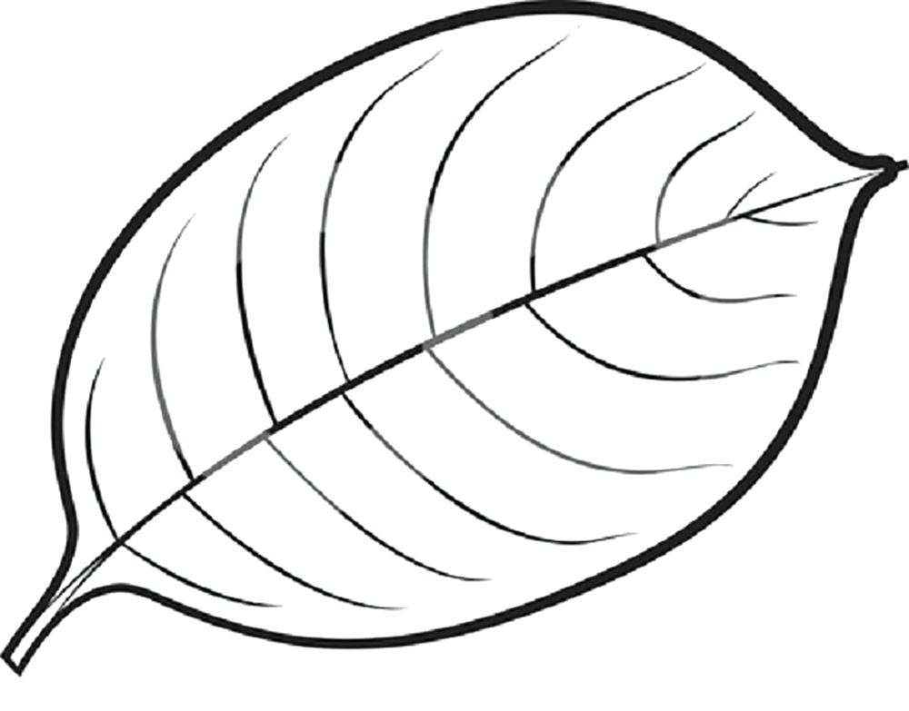 1000x783 Coloring Page Leaf Printable Leaves For Coloring Coloring Page