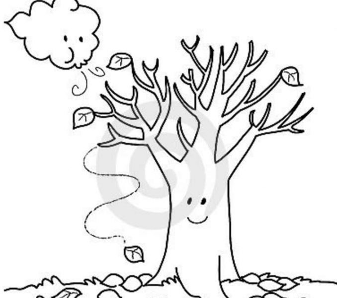 678x600 Free Printable Fall Tree Coloring Pages Maple Tree Coloring Page