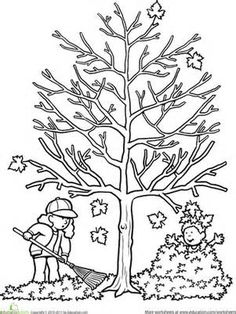 236x314 Maple Tree Coloring Page Colorear Y Estaciones Del