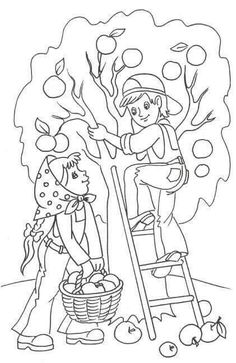 236x363 Maple Tree Coloring Page Worksheets, Kindergarten And Craft