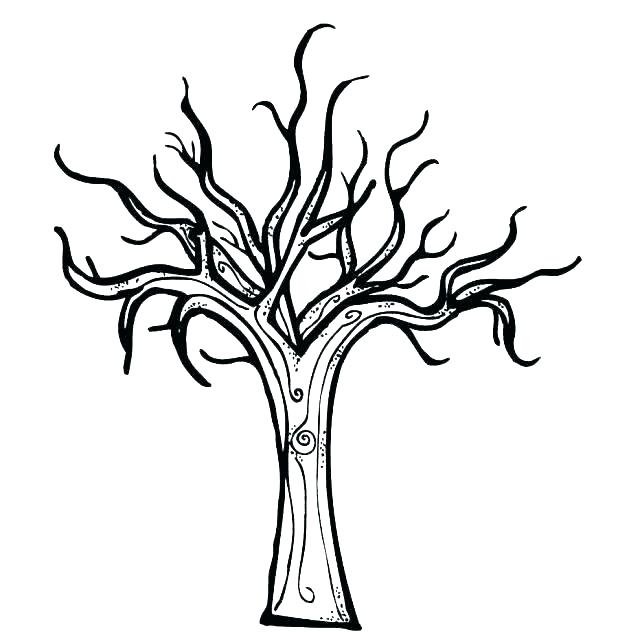 618x632 Maple Tree Coloring Page Maple Tree Coloring Page Tree Trunk