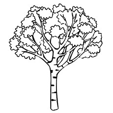 230x230 Top Tree Coloring Pages For Your Little Ones