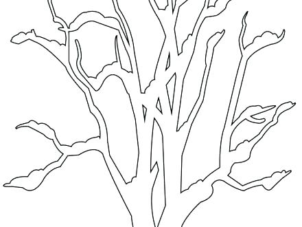 440x330 Tree Trunk Coloring Page Bare Tree Coloring Page This Is Bare Tree