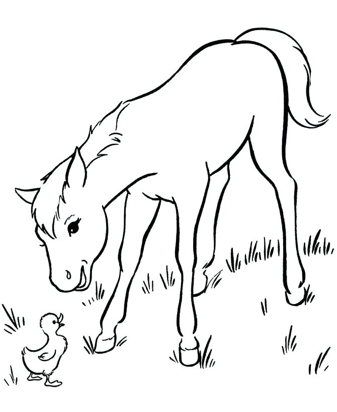 670x820 Mother Horse And Foal Coloring Pages Baby Horses Coloring Pages