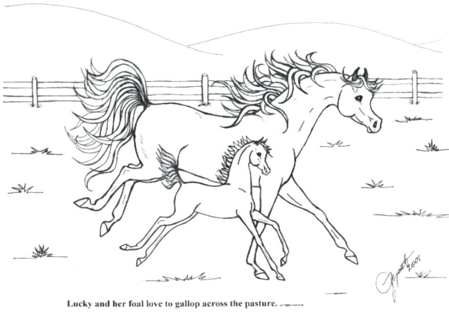 875x620 Mother Horse Foal Coloring Pages Coloring Pages Of Horses