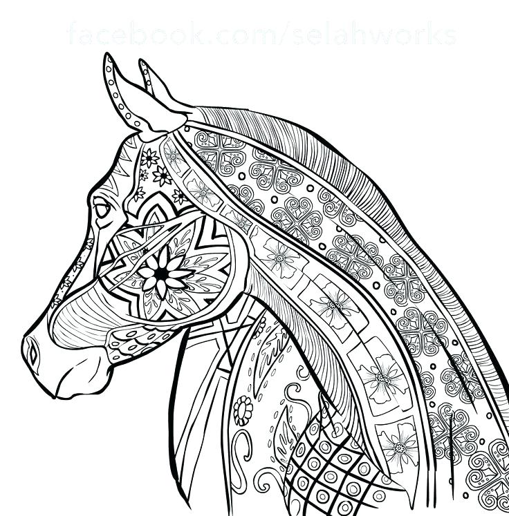 736x747 Coloring Pages Horses Quarter Horse A Bath Time A Horse And Foal