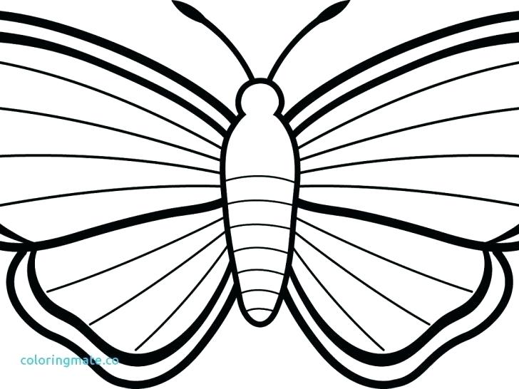 728x546 Marigold Coloring Page Click The Marigolds Coloring Pages Marigold