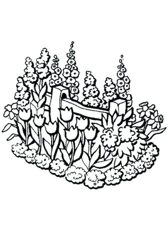 335x451 Marigold Coloring Page Coloring Pages Of Flower Garden Marigold