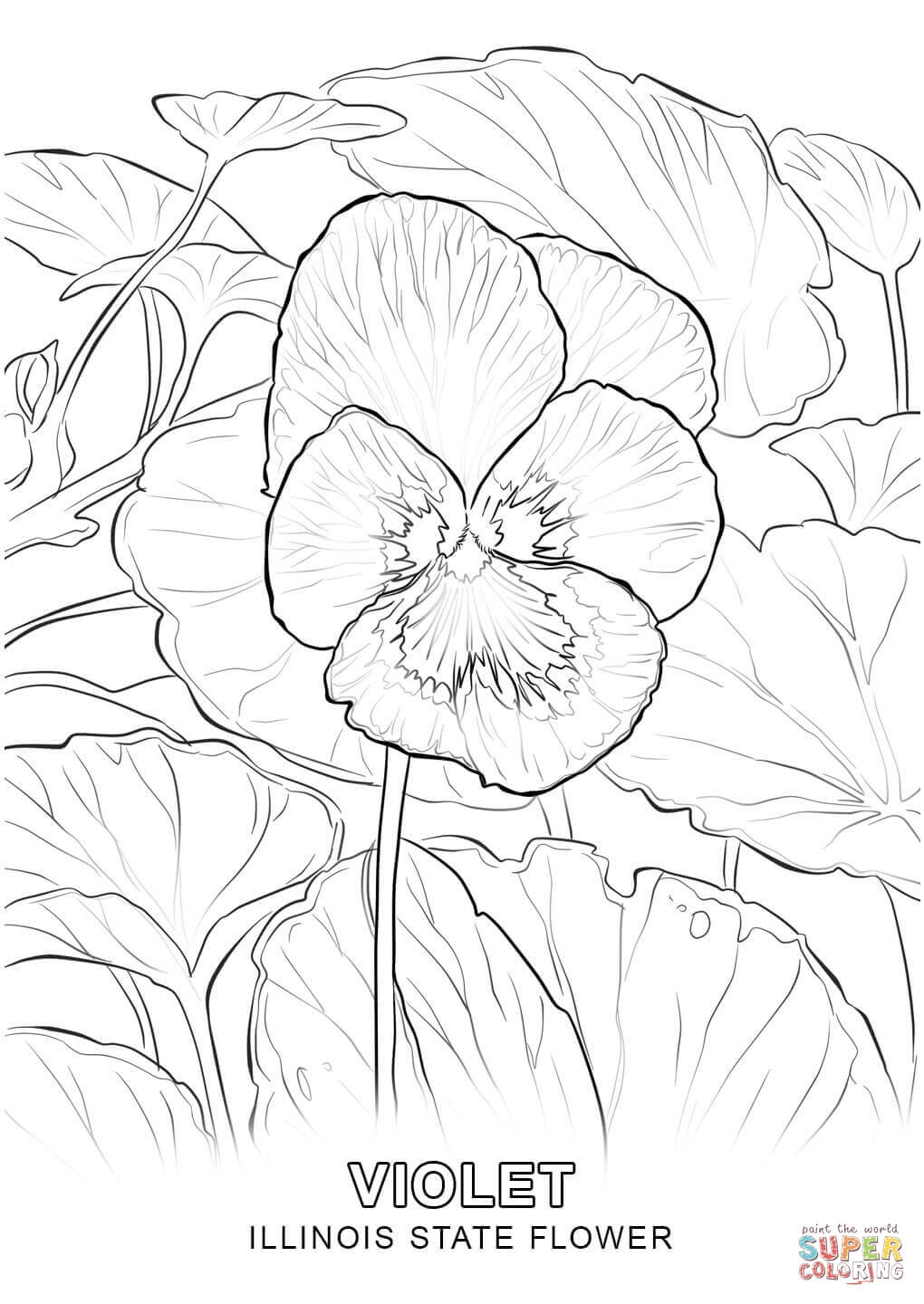 1020x1440 Marigold Coloring Pages Collection Coloring For Kids