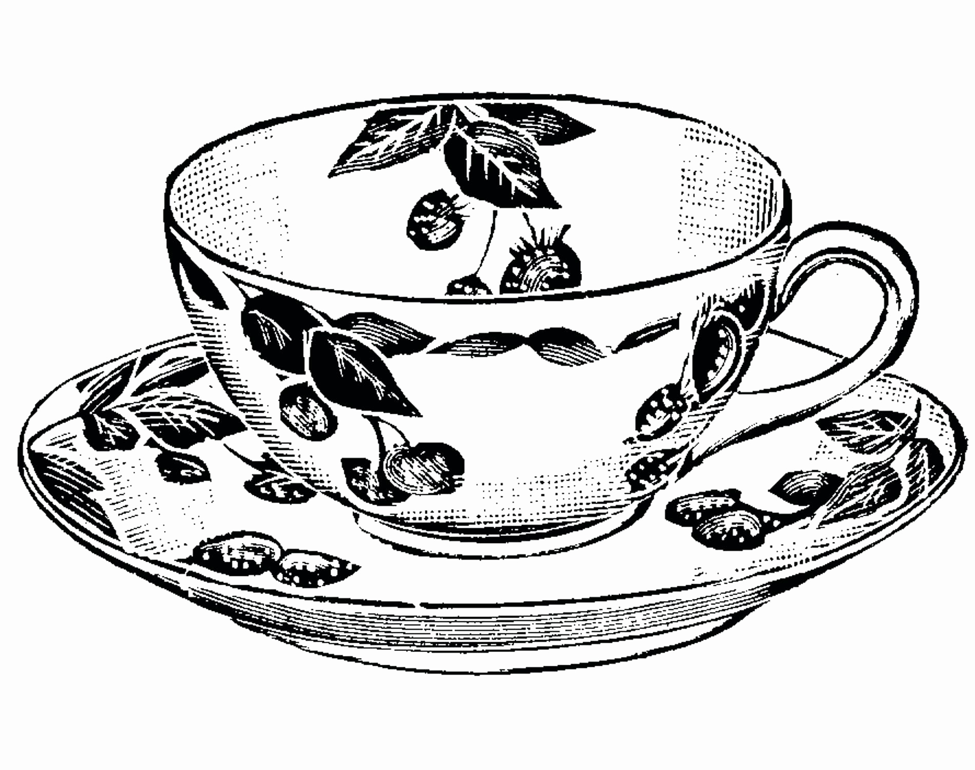 1900x1500 Tea Cup Coloring Page Awesome Flower Pot Coloring Page Elegant