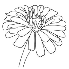 230x230 Top Free Printable Flowers Coloring Pages Online