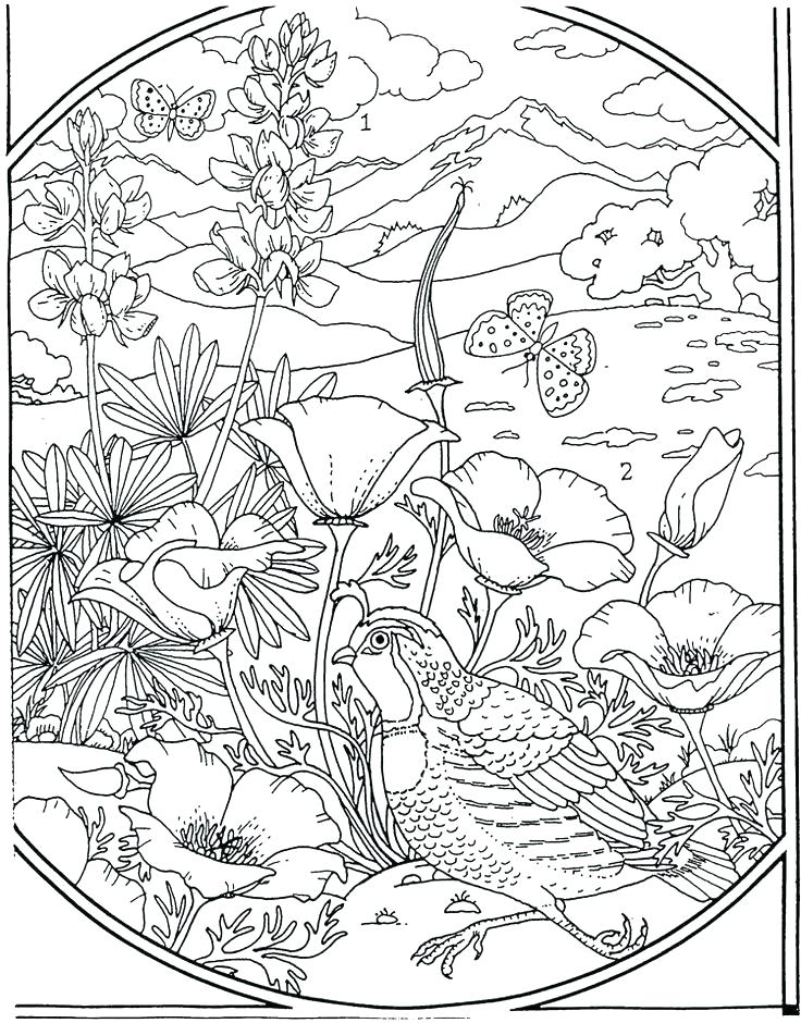 736x940 Coloring Page Flower Marigold Coloring Page Flowers Coloring Page