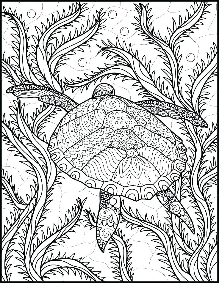 736x952 Marine Life Coloring Pages Sea Life Coloring Pages Large Size