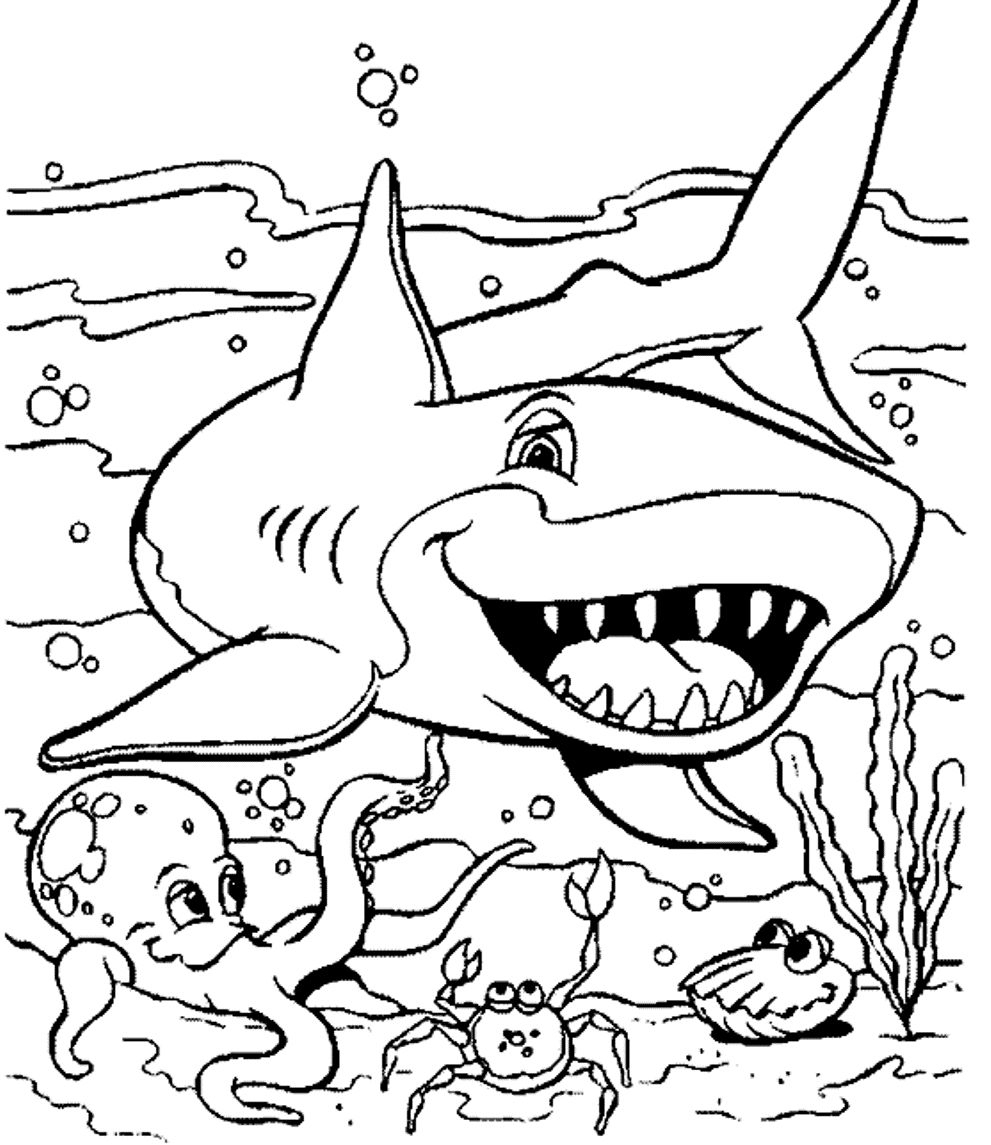991x1145 Professional Free Animal Coloring Pages Sea Animals Page Ocean New
