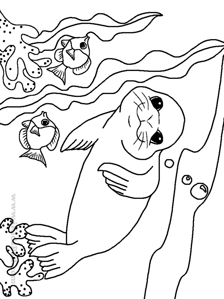 768x1024 Sea Animals Coloring Pages Excellent Ocean Best Co Unknown