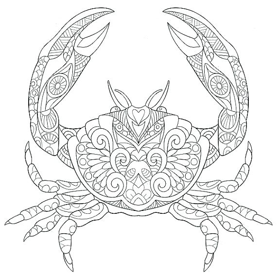 570x570 Coloring Pages Sea Animals Marine Life Coloring Pages Ocean