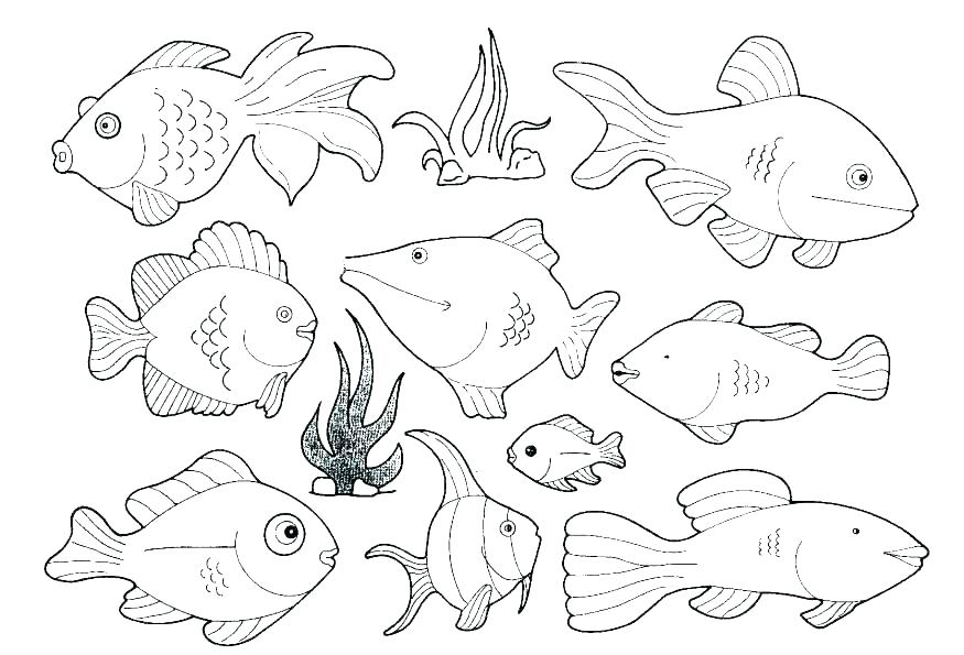 875x595 Marine Life Coloring Pages Coloring Pages Under The Sea Ocean Life