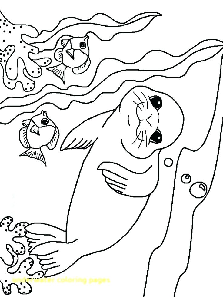736x981 Underwater Coloring Pages Underwater Animals Coloring Pages