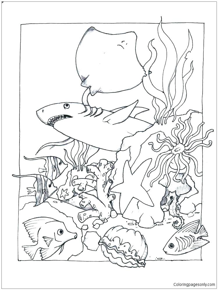 749x993 Marine Coloring Page Interesting Marines Coloring Pages New Marine