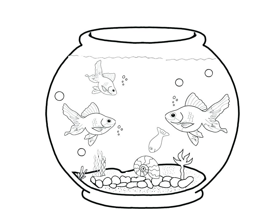 970x739 Marine Coloring Pages Aquarium Coloring Page Marine Aquarium