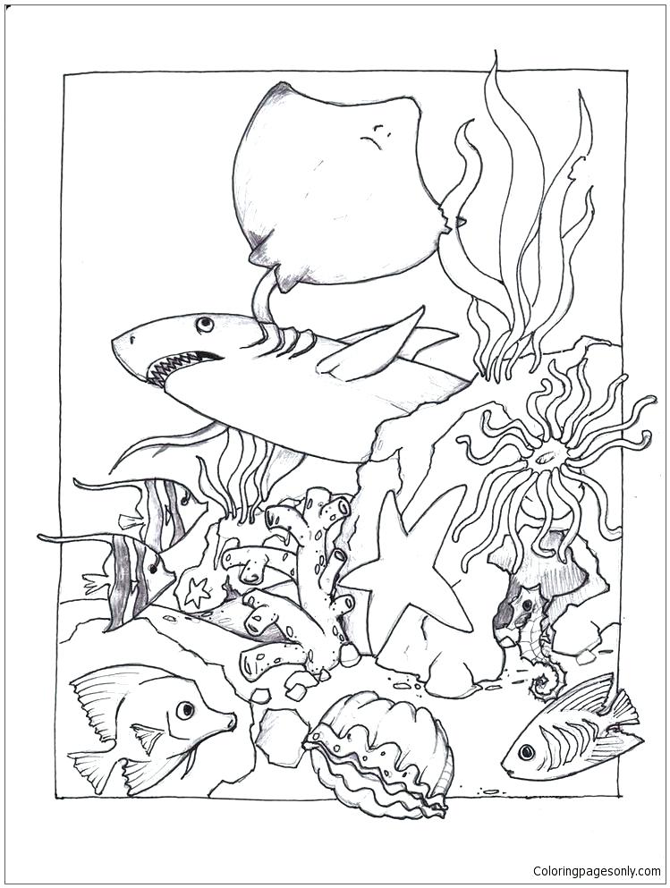 749x993 Sea Life Online Coloring Pages