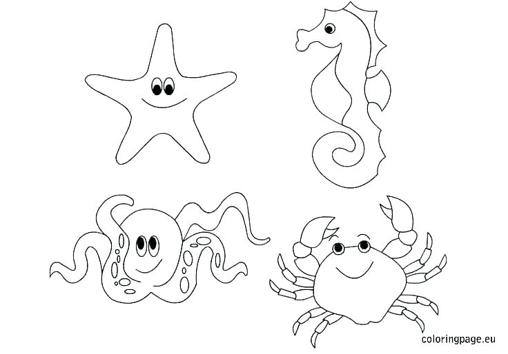736x514 Underwater Coloring Pages Under Sea Coloring Pages Underwater