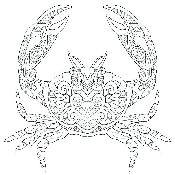 570x570 Marine Coloring Page
