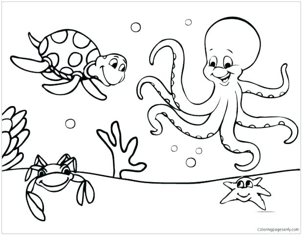 618x481 Huge Gift Marine Life Coloring Pages Sea
