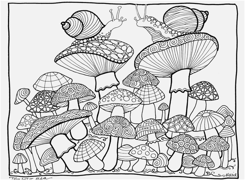 827x609 The Superior Image Mushroom Coloring Pages Information