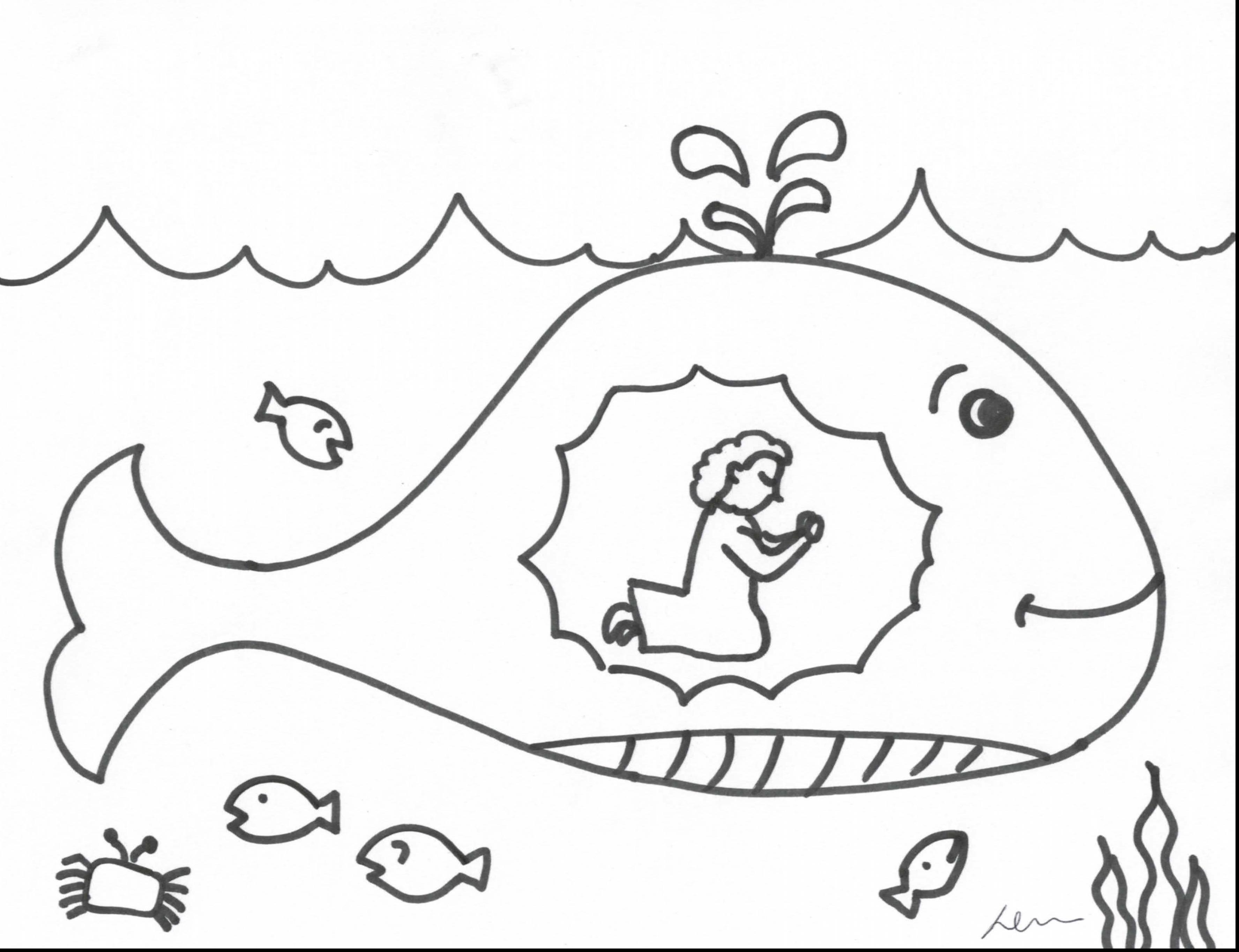 3551x2728 Jonah And The Whale Coloring Pages At Page Itgod Me Auto Market