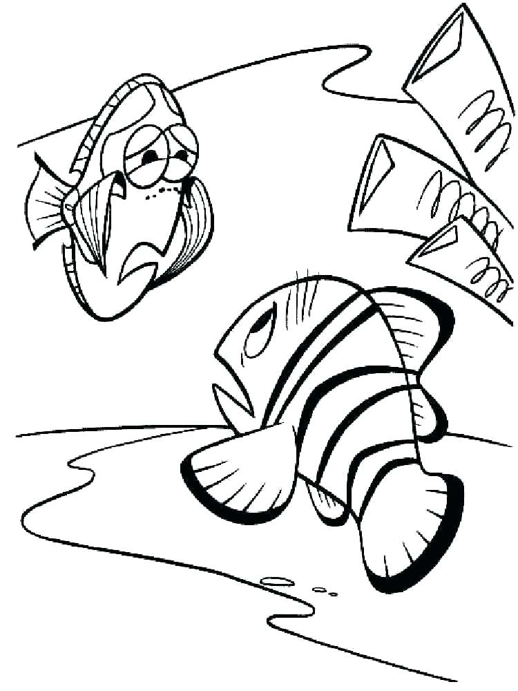 Marlin Coloring Pages at GetDrawings | Free download