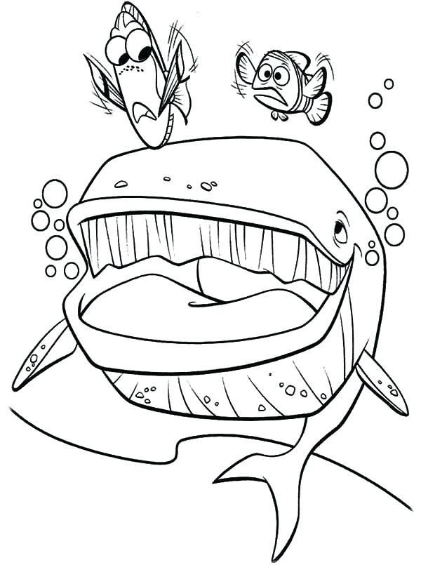 600x805 Finding Nemo Coloring Pages Coloring Pages Finding Coloring Page