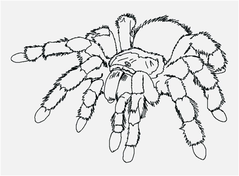 827x609 The Right Photo Martin Luther King Jr Coloring Pages Amazing