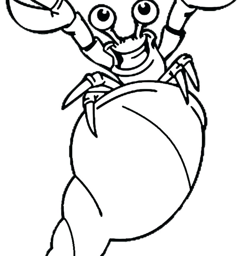 850x864 Hermit Crab Coloring Pages Free Drawn Page Pencil And In Color