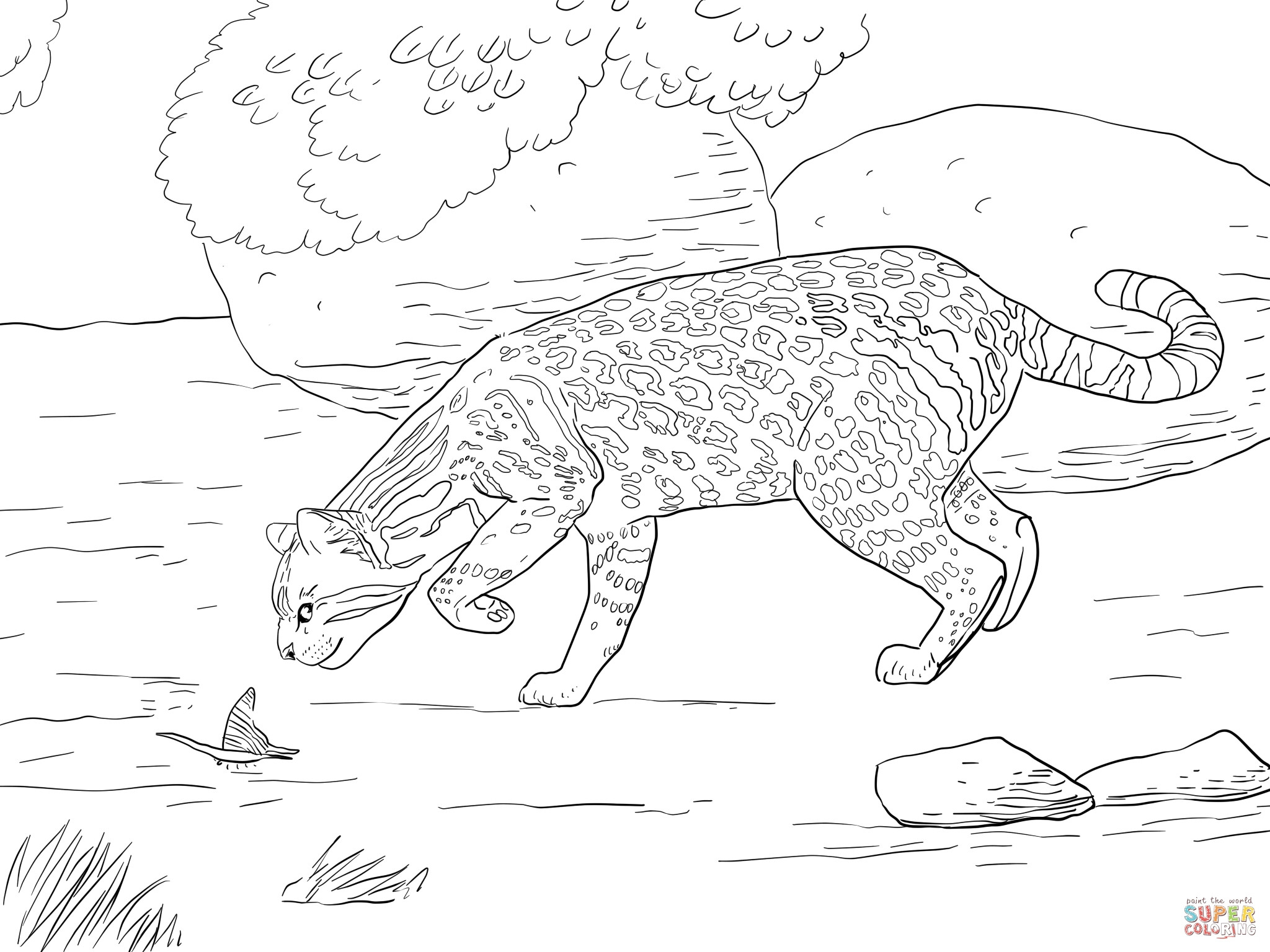 2048x1536 Stephen Curry Coloring Pages Luxury Maserati Coloring Pages Free