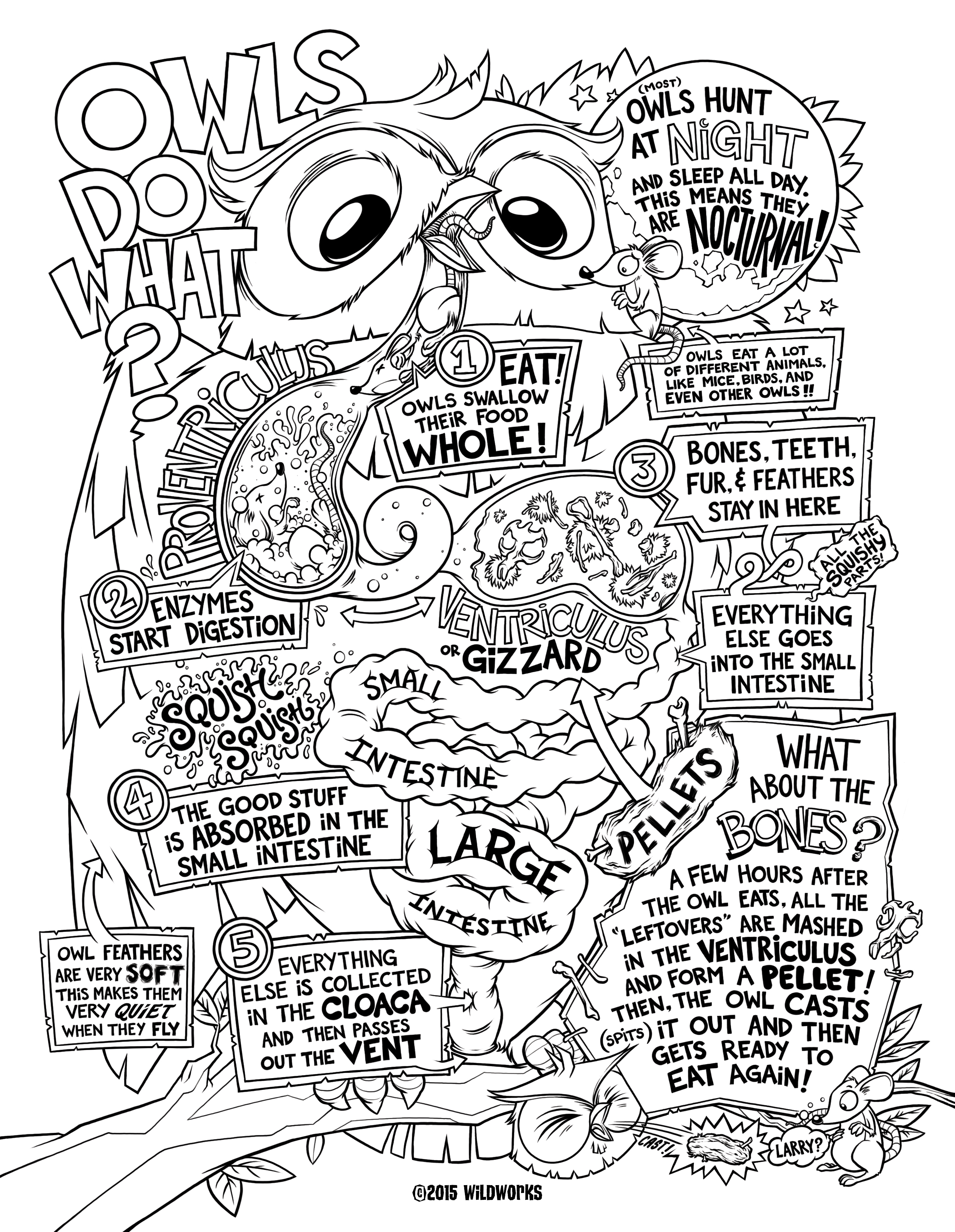 2588x3338 Animal Jam Owl Coloring Pages Collection Best Image To Color