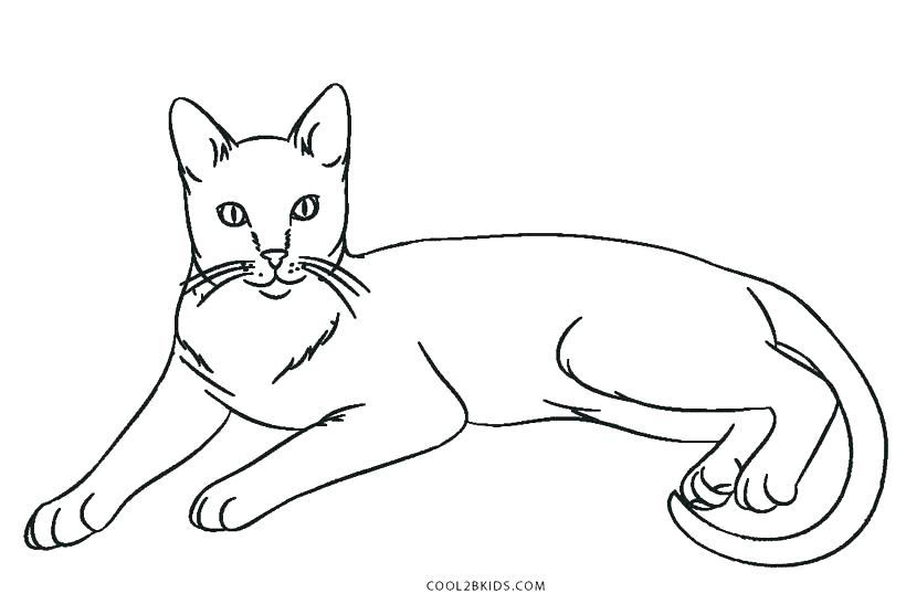 820x547 Catholic Mass Coloring Pages Cat Coloring Page Coloring Pages