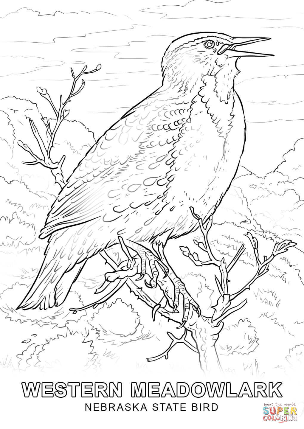 1020x1440 Revolutionary Iowa State Bird Coloring Page Fr