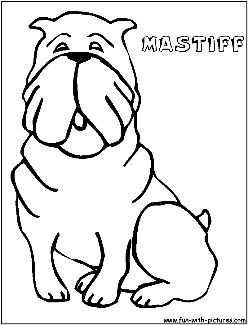 800x1050 Coloring Page