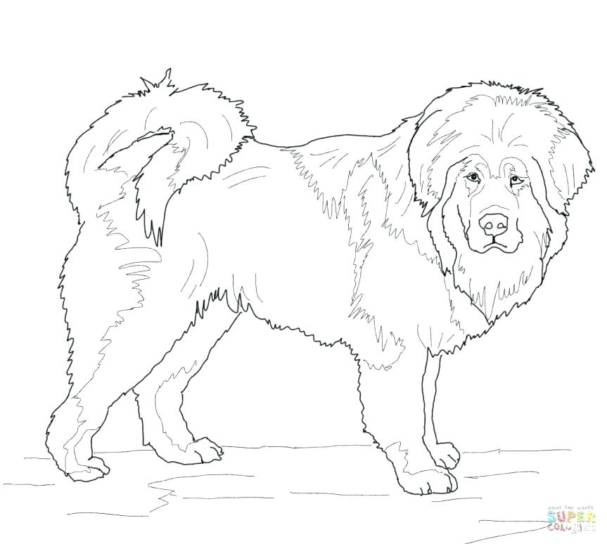 863x774 German Shepherd Coloring Pages Basset Hound Mammals Coloring Pages