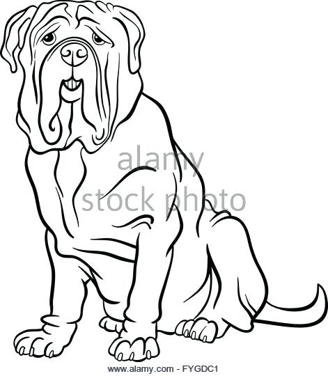 471x540 Mastiff Animal Coloring Pages Mastiff Animal Coloring Pages