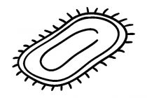 210x140 Tiger Tank Coloring Pages